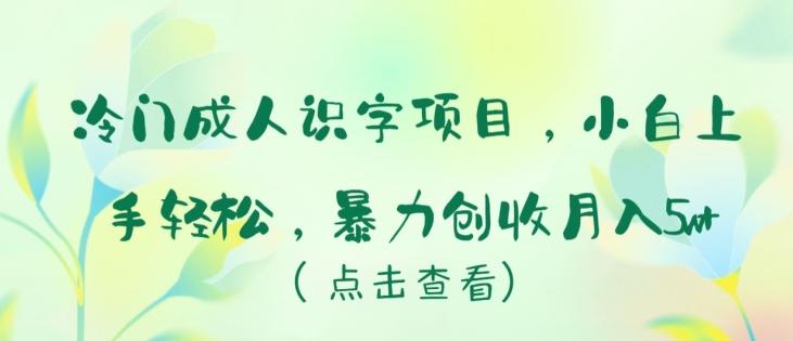 冷门成人识字项目，小白上手轻松，暴力创收月入5w+【揭秘】-灼光资源宝库
