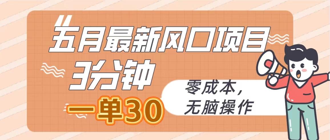 五月最新风口项目，3分钟一单30，零成本，无脑操作-灼光资源宝库