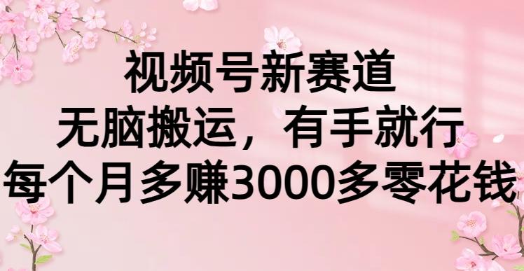 (9278期)视频号新赛道，无脑搬运，有手就行，每个月多赚3000多零花钱-灼光资源宝库