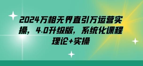 2024万相无界直引万运营实操，4.0升级版，系统化课程 理论+实操-蘑菇资源宝库