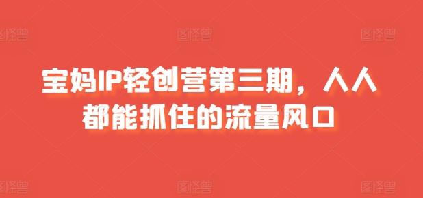 宝妈IP轻创营第三期，人人都能抓住的流量风口-灼光资源宝库