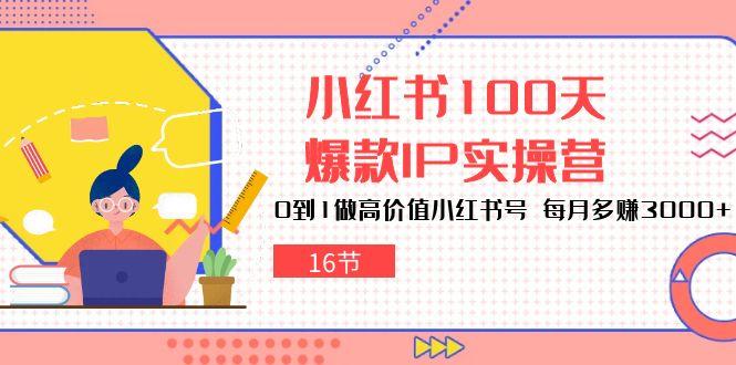 小红书100天-爆款IP实操营，0到1做高价值小红书号 每月多赚3000+(16节-灼光资源宝库