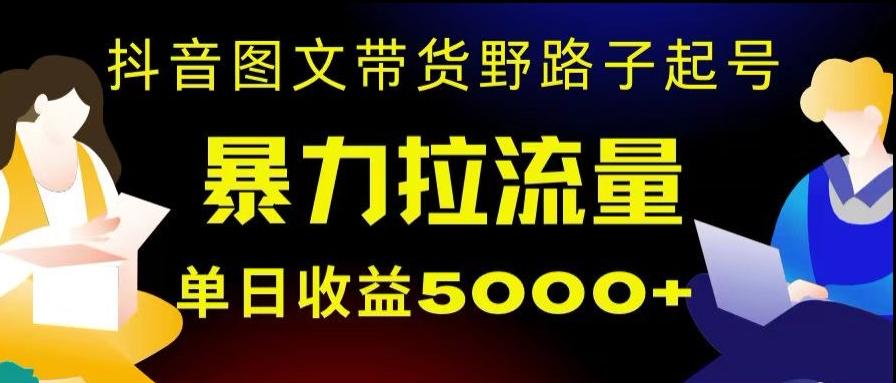 抖音图文带货暴力起号，单日收益5000+，野路子玩法，简单易上手，一部手机即可【揭秘】-灼光资源宝库