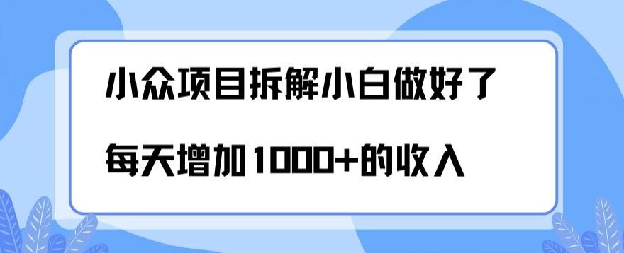 小众项目拆解，小白做好了每天可增加1000多的收入-灼光资源宝库