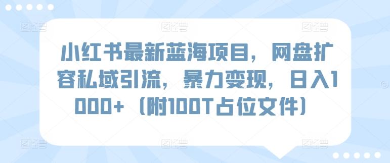 小红书最新蓝海项目，网盘扩容私域引流，暴力变现，日入1000+(附100T占位文件)【揭秘】-灼光资源宝库