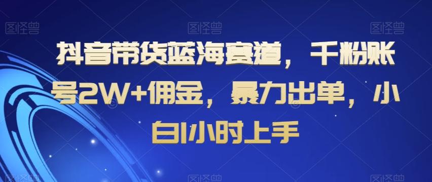 抖音带货蓝海赛道，千粉账号2W+佣金，暴力出单，小白1小时上手【揭秘】-灼光资源宝库