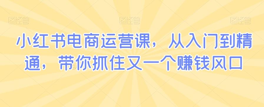 小红书电商运营课，从入门到精通，带你抓住又一个赚钱风口-灼光资源宝库