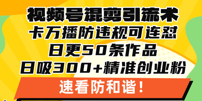 视频号混剪引流技术，500万播放引流17000创业粉，操作简单当天学会-灼光资源宝库