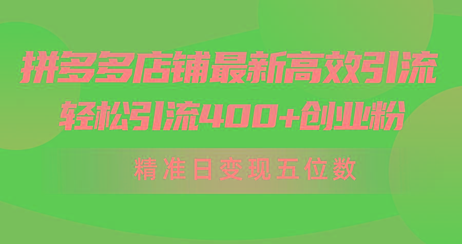 (10041期)拼多多店铺最新高效引流术，轻松引流400+创业粉，精准日变现五位数！-灼光资源宝库