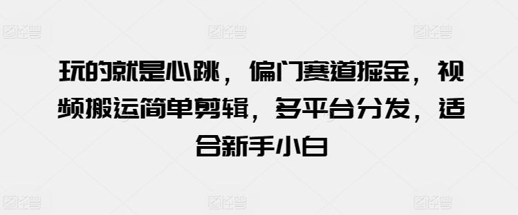 玩的就是心跳，偏门赛道掘金，视频搬运简单剪辑，多平台分发，适合新手小白【揭秘】-灼光资源宝库