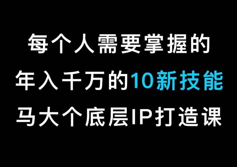 马大个的IP底层逻辑课，​每个人需要掌握的年入千万的10新技能，约会底层IP打造方法！-灼光资源宝库