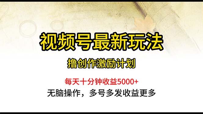 视频号最新玩法，每日一小时月入5000+-蘑菇资源宝库