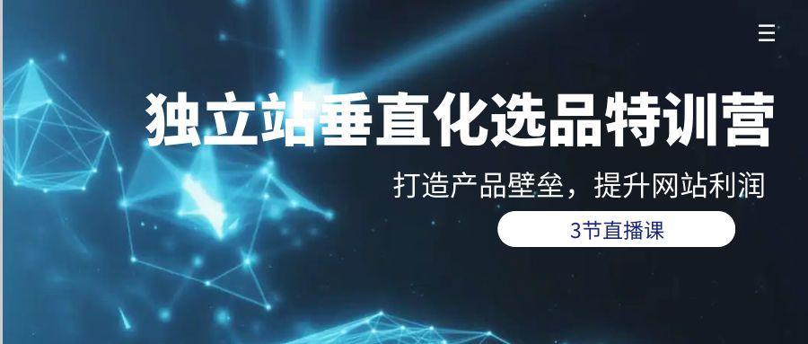 (9925期)独立站-垂直化选品训练营，打造产品壁垒，提升网站利润(3节直播课)-灼光资源宝库