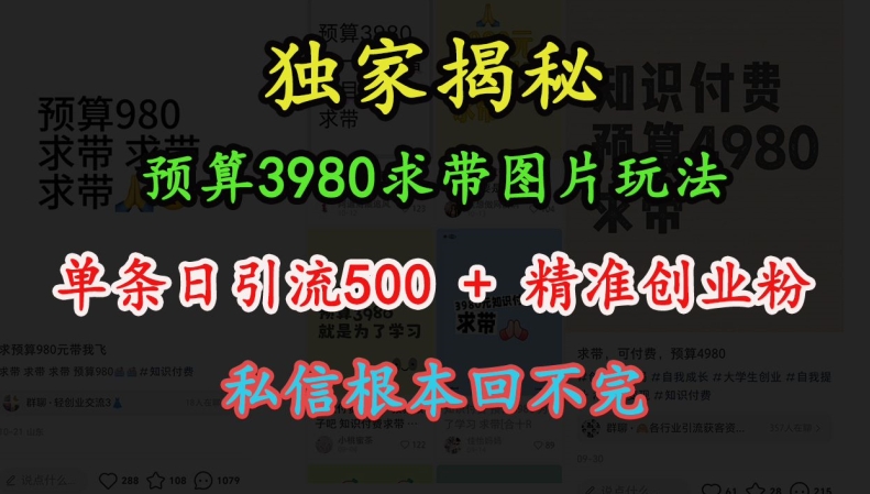 预算3980求带 图片玩法，单条日引流500+精准创业粉，私信根本回不完-灼光资源宝库