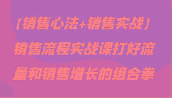 【销售心法+销售实战】销售流程实战课打好流量和销售增长的组合拳-灼光资源宝库
