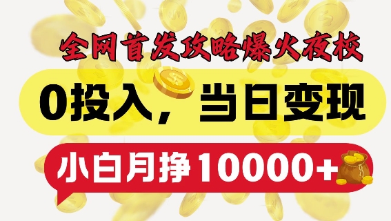 全网首发爆火夜校，0投入，当日变现，小白轻松月入1w+【揭秘】-灼光资源宝库