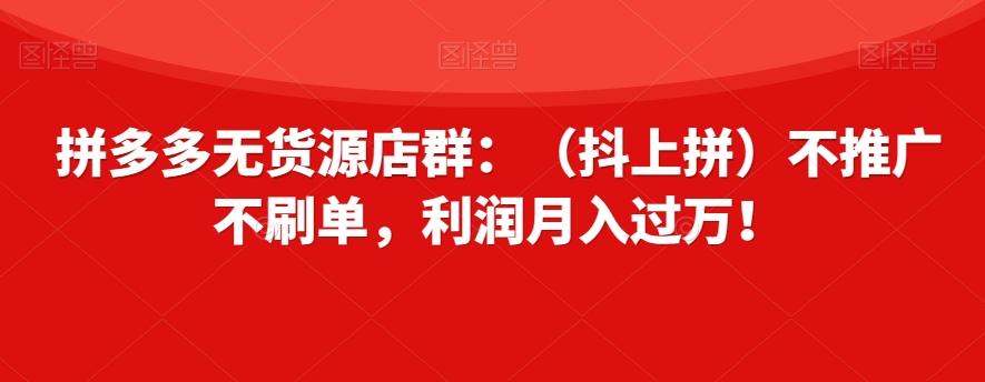 拼多多无货源店群：（抖上拼）不推广不刷单，利润月入过万！【揭秘】-灼光资源宝库