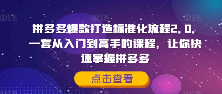 拼多多爆款打造标准化流程2.0，一套从入门到高手的课程，让你快速掌握拼多多-灼光资源宝库