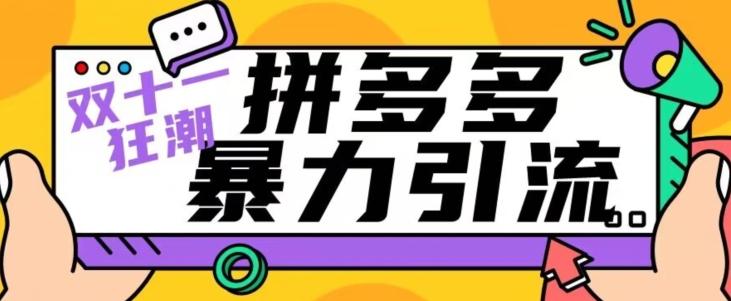 【首发】双十一拼多多暴力引流，日引300+微信-灼光资源宝库