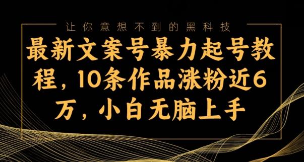 最新文案号暴力起号教程，10条作品涨粉近6万，小白无脑上手-灼光资源宝库