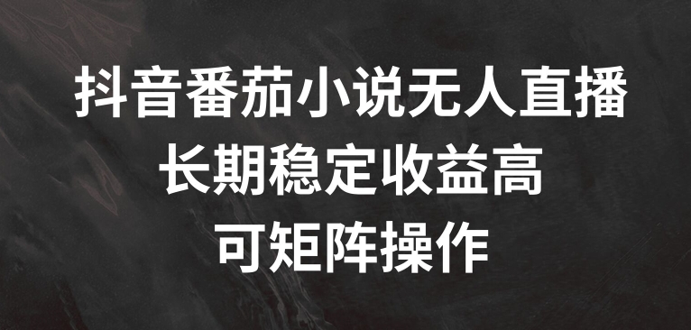 抖音番茄小说无人直播，长期稳定收益高，可矩阵操作【揭秘】-灼光资源宝库