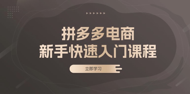 拼多多电商新手快速入门课程：涵盖基础、实战与选款，助力小白轻松上手-灼光资源宝库