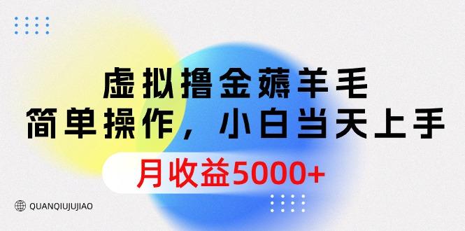 (9864期)虚拟撸金薅羊毛，简单操作，小白当天上手，月收益5000+-灼光资源宝库