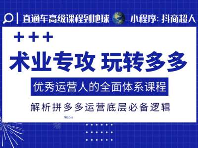 术业专攻玩转多多，优秀运营人的全面体系课程，解析拼多多运营底层必备逻辑-灼光资源宝库