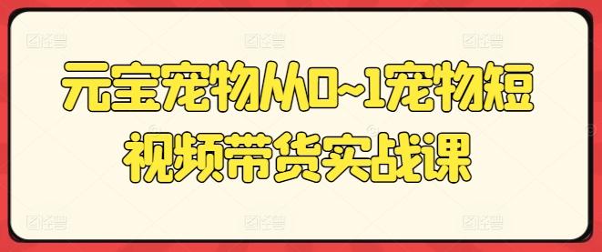 元宝宠物从0~1宠物短视频带货实战课-灼光资源宝库