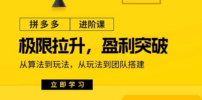 拼多多·进阶课：极限拉升/盈利突破：从算法到玩法 从玩法到团队搭建-18节-灼光资源宝库