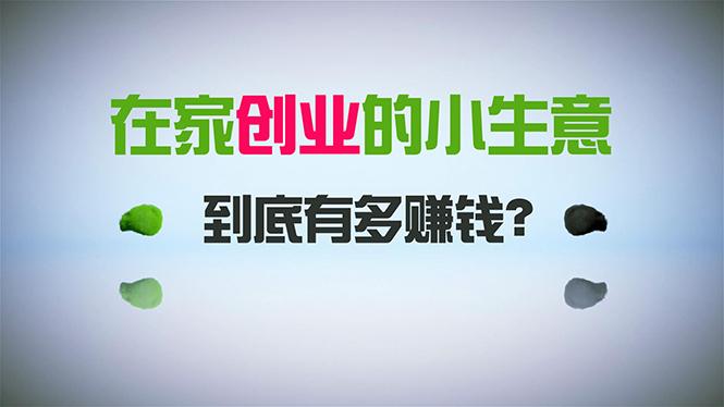在家创业，日引300+创业粉，一年收入30万，闷声发财的小生意，比打工强-灼光资源宝库