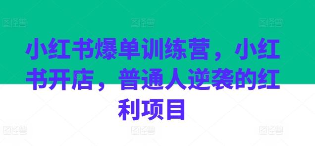 小红书爆单训练营，小红书开店，普通人逆袭的红利项目-灼光资源宝库