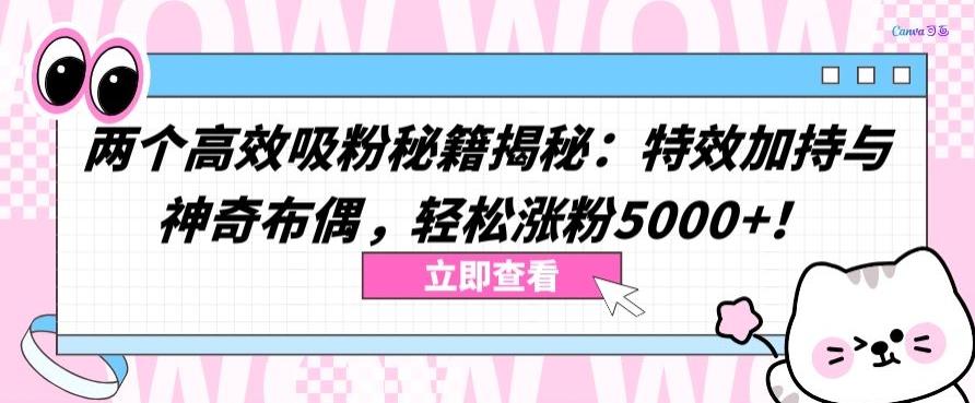 两个高效吸粉秘籍揭秘：特效加持与神奇布偶，轻松涨粉5000+【揭秘】-灼光资源宝库