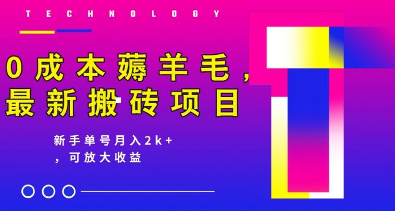 0成本薅羊毛，最新搬砖项目，新手单号月入2k+，可放大操作-灼光资源宝库