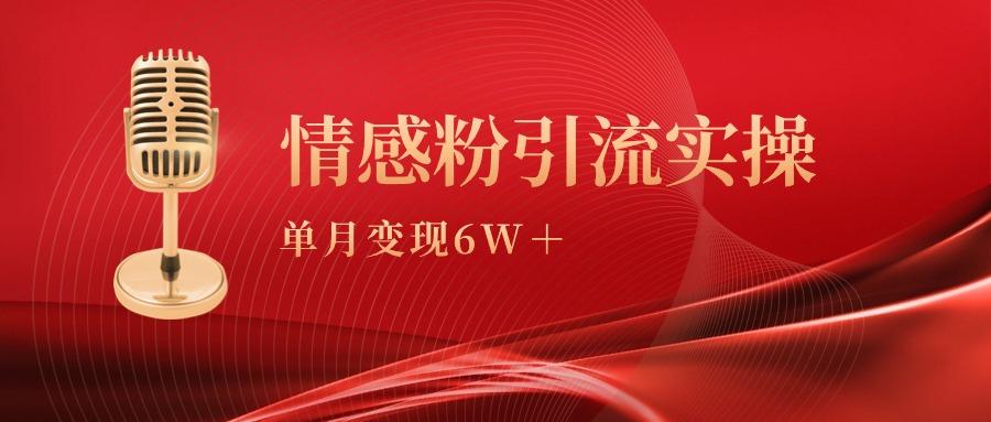 (9473期)单月变现6w+，情感粉引流变现实操课-灼光资源宝库
