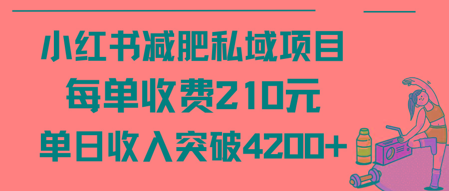 (9466期)小红书减肥私域项目每单收费210元单日成交20单，最高日入4200+-灼光资源宝库