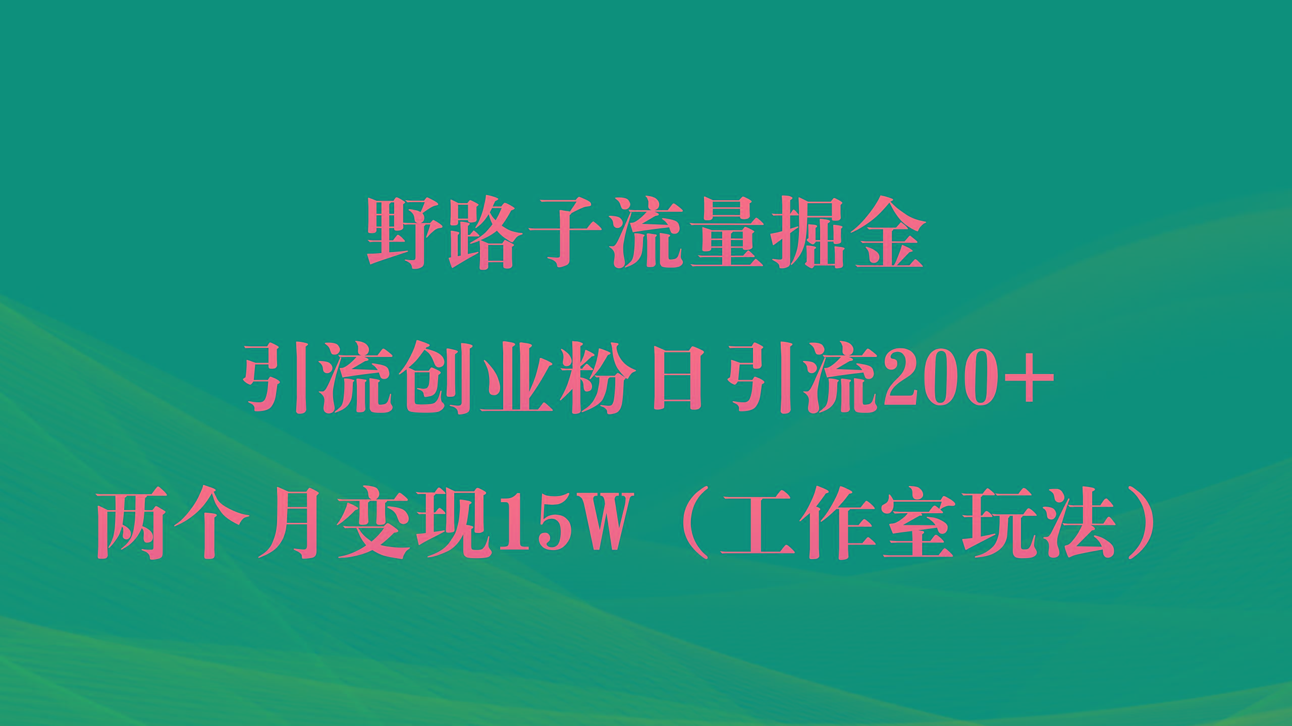 (9513期)野路子流量掘金，引流创业粉日引流200+，两个月变现15W(工作室玩法))-灼光资源宝库