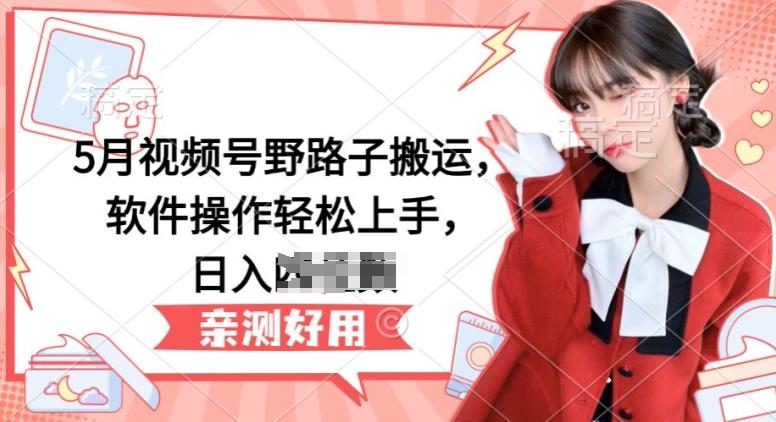 5月视频号野路子搬运，软件操作轻松上手，日入三位数【揭秘】-蘑菇资源宝库