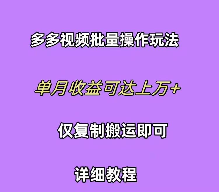 (10029期)拼多多视频带货快速过爆款选品教程 每天轻轻松松赚取三位数佣金 小白必…-灼光资源宝库