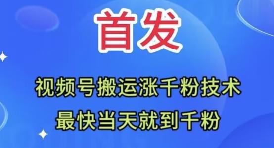 全网首发：视频号无脑搬运涨千粉技术，最快当天到千粉【揭秘】-灼光资源宝库