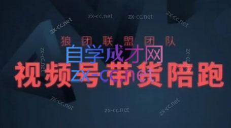 狼团联盟·2024视频号带货-灼光资源宝库