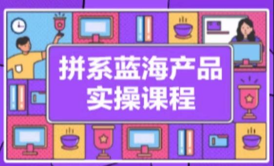 拼系冷门蓝海产品实操课程，从注册店铺到选品上架到流量维护环环相扣-灼光资源宝库