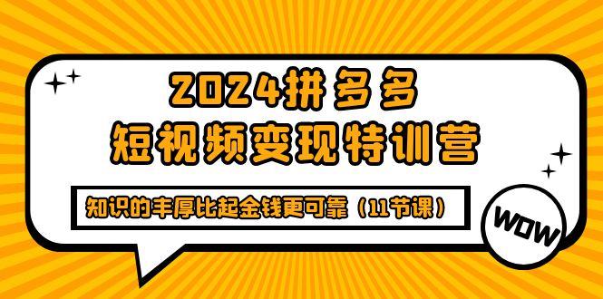 (9817期)2024拼多多短视频变现特训营，知识的丰厚比起金钱更可靠(11节课)-灼光资源宝库
