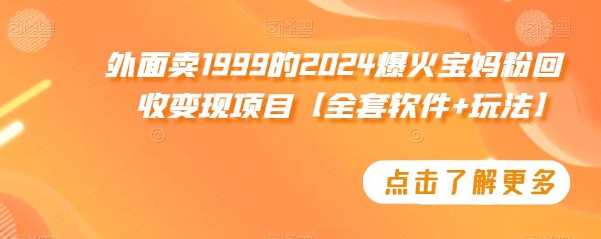 外面卖1999的2024爆火宝妈粉回收变现项目【全套软件+玩法】【揭秘】-灼光资源宝库