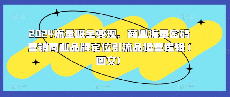 2024流量吸金变现，商业流量密码营销商业品牌定位引流品运营逻辑(图文)-灼光资源宝库