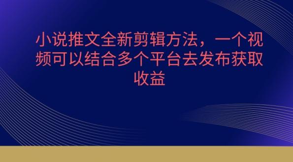 小说推文全新剪辑方法，一个视频可以结合多个平台去发布获取【揭秘】-灼光资源宝库