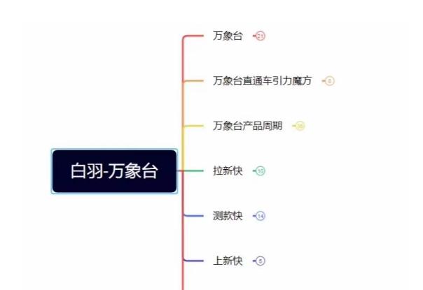 白羽·直引万搜索全篇，从0-1，多个类目实操经验总结付费-灼光资源宝库