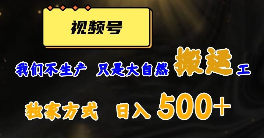 视频号轻松搬运日赚500+，一个1分钟1条原创视频【揭秘】-灼光资源宝库