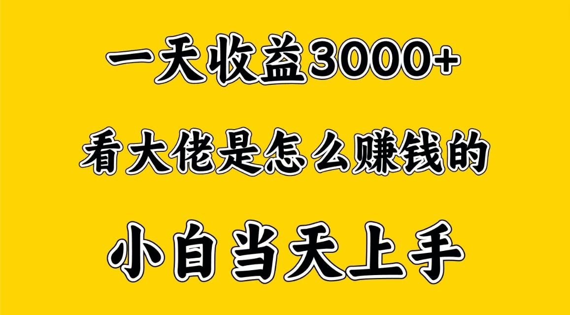 一天赚3000多，大佬是这样赚到钱的，小白当天上手，穷人翻身项目-灼光资源宝库