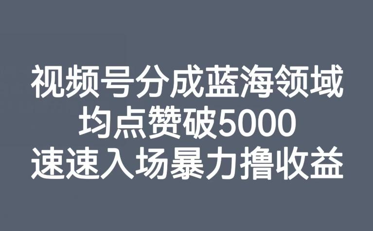 视频号分成蓝海领域，均点赞破5000，速速入场暴力撸收益-灼光资源宝库
